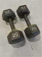 2 - 20 Lb. Weights