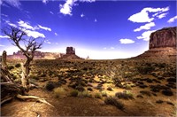 Rich History & Stunning Landscapes in Arizona!