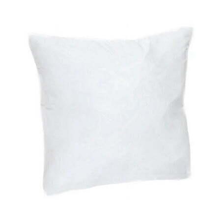 Pillow Insert 20 x20  set of 2