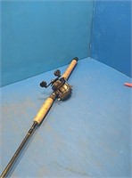 Fishing pole with bait caster reel