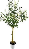 4ft Tuscan Olive Tree in Plastic Planter