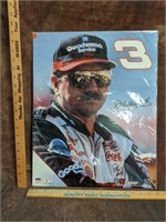 Dale Earnhardt Picture