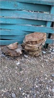 Cut Wood Slabs For Center Pieces, Yard Decor,