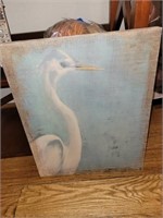 Print on stretched canvas. Seagull. 16" x 20"