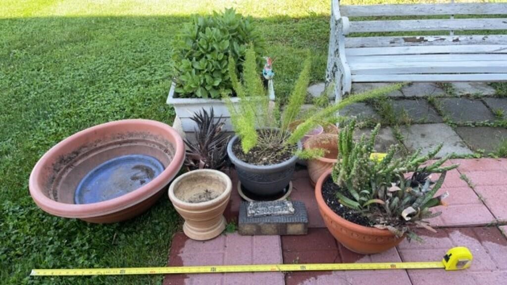 Potted plants, plant containers , decorative
