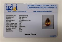 NATURAL CITRINE - WITH COA CARD