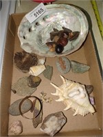 Natural Rocks, Seashells, Crystal, Petrified Wood