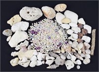 Large Assortment of Sea Shells & Faux Beads