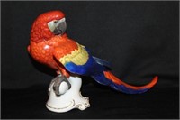 Rosenthal Parrot (MaMaw) 8.5" x 15.5"