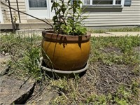 2 Large Flower Pots and Decorations