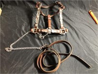 Leather Horse Halter with Silver Decoration