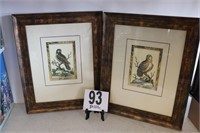Pair of 14x17" Matted & Framed Artworks