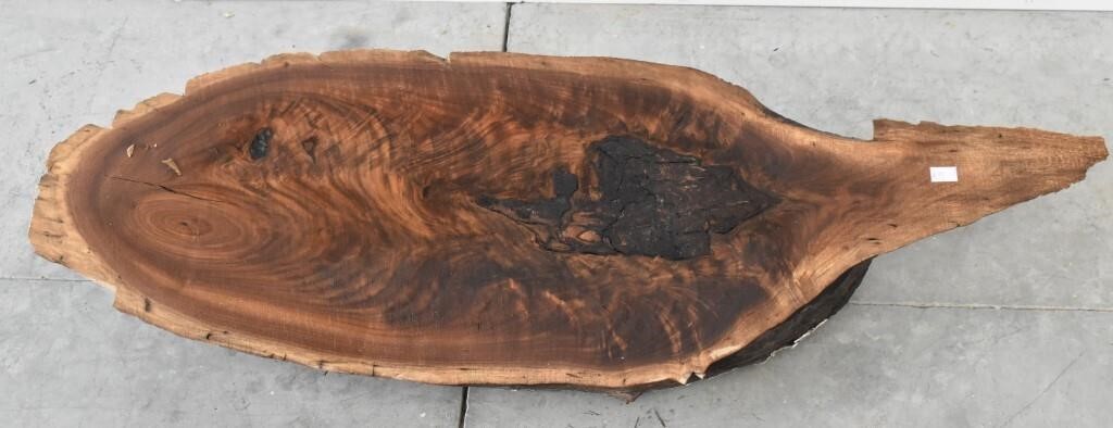 42" Wide Crafting Project Tree Slab