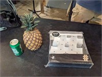 Decorative Pineapple & Marquee Light Kit