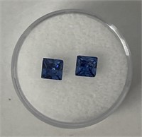 (2) Blue Sapphire Gemstones