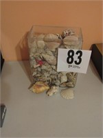 Square Vase with Shells (9x7.5")