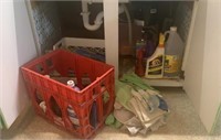 Contents Under Sink- Cleaning Supplies