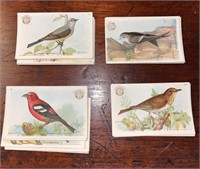 C. 1922 Arm & Hammer Bird Trading Cards - 22