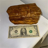 Large Piece Petrified Wood