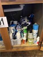 Cabinet full of Cleaning Supplies