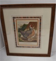 Cassell's Poultry Book Chicken Lithograph in Frame