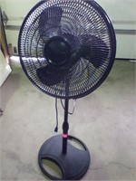 Fan