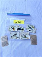 Arm and Hammer Wild Birds 30+ Cards