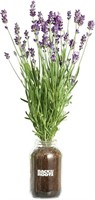 New $25 Back to the Roots Lavender Organic