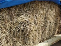 (8) Large square bales hay (grass, timothy, brome)