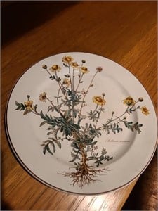 Villeroy & boch Botanica dinner plate. Den