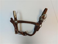 Show Halter Yearling or Cob Size? **