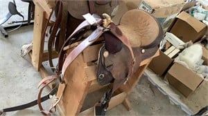 Saddle with breast collar 15"