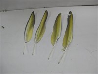 Four Macaw Feathers