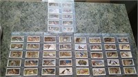 Set of 50 Birds & Young Tobacco Cards 1937