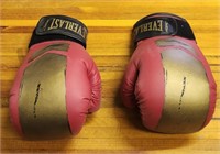 8oz Everlast Boxing Gloves