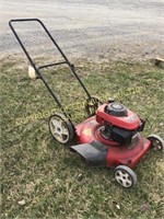 TROY-BILT 21" 3-IN-1 PUSH MOWER