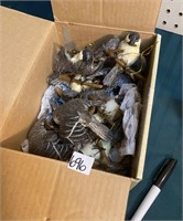 BOX BIRDS TREE ORNAMENTS