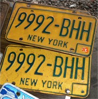 License Plates - NY matching set