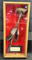 NATIVE AMERICAN HORN DANCE RATTLE IN SHADOWBOX