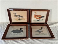 4 19th Cent. Framed Duck Prints