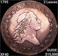 1795 2 Leaves Flowing Hair Half Dollar NEARLY UNC
