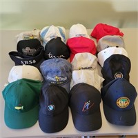 (19) Various Hats
