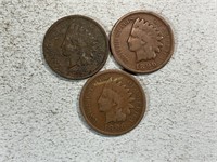 Three 1896 Indian head cents