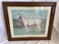 Framed Horse Picture