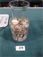 19 inch Jar of Sea Shells