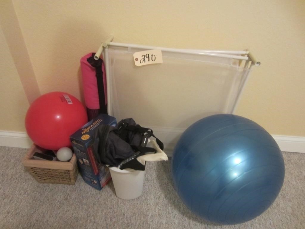 assortment of yoga balls, weights, misc