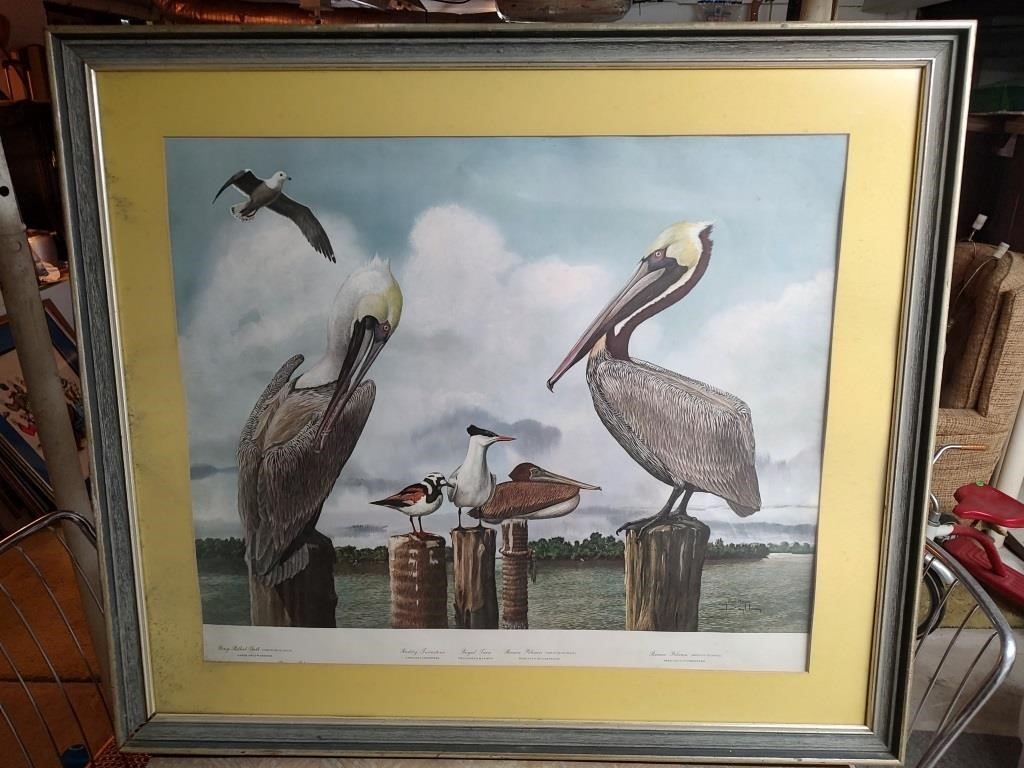 Sea Birds Print by Ray Harm - Read Details