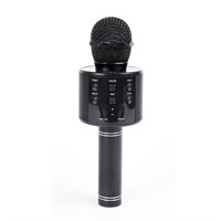 Nifty Karaoke Microphone