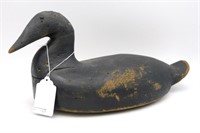 Maine carved scoter or eider sea duck, probably