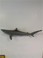 Display shark mount, has damage to it